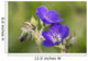 Wild geranium Wall Mural