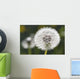 Dandelion Wall Mural