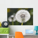 Dandelion Wall Mural