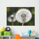 Dandelion Wall Mural