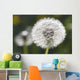 Dandelion Wall Mural