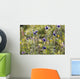 Field scabiosa Wall Mural