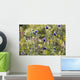 Field scabiosa Wall Mural
