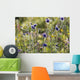 Field scabiosa Wall Mural