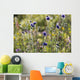Field scabiosa Wall Mural