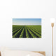 Healthy Green Mid-season Soybean Wall Decal