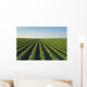 Healthy Green Mid-season Soybean Wall Decal