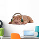 Shar-Pei Music Dreams Wall Decal