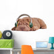 Shar-Pei Music Dreams Wall Decal