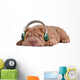 Shar-Pei Music Dreams Wall Decal