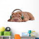 Shar-Pei Music Dreams Wall Decal