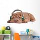 Shar-Pei Music Dreams Wall Decal