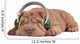 Shar-Pei Music Dreams Wall Decal