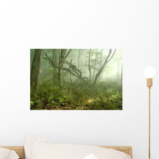 Fog Forest Wall Decal