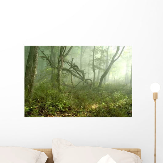 Fog Forest Wall Decal