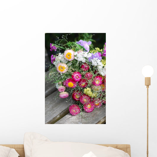 Helichrysum (Helichrysum bracteatum) Wall Mural