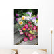 Helichrysum (Helichrysum bracteatum) Wall Mural