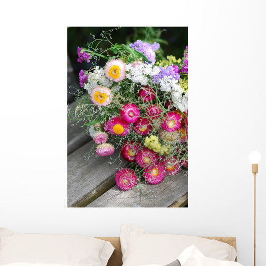 Helichrysum (Helichrysum bracteatum) Wall Mural