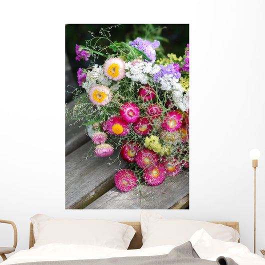 Helichrysum (Helichrysum bracteatum) Wall Mural
