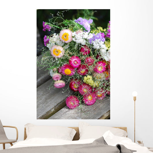 Helichrysum (Helichrysum bracteatum) Wall Mural