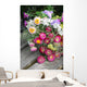 Helichrysum (Helichrysum bracteatum) Wall Mural