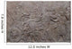Relief Ancient Assyrian Warriors