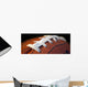 Lacci Football Wall Mural