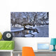 Central Park Wall Mural