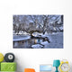 Central Park Wall Mural