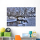 Central Park Wall Mural