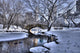 Central Park Wall Mural