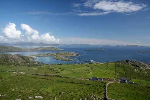 Ring Kerry Wall Decal