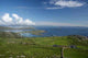Ring Kerry Wall Decal