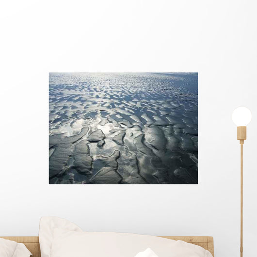 Wadden Sea Wall Decal