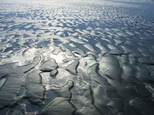 Wadden Sea Wall Decal