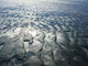Wadden Sea Wall Decal