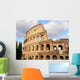 The Coliseum Wall Mural