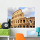 The Coliseum Wall Mural