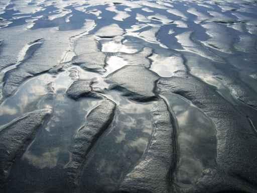 Wadden Sea 2 Wall Decal