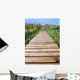 Dune Boardwalk Wall Decal