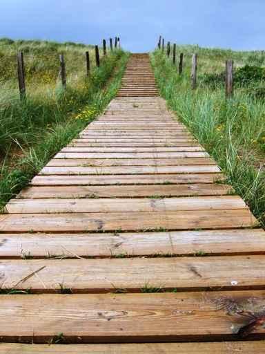Dune Boardwalk Wall Decal