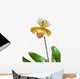 Beautiful Unique Orchid Wall Decal