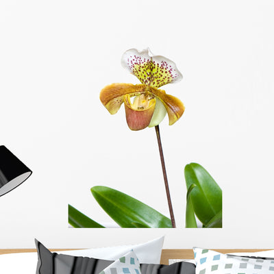 Beautiful Unique Orchid Wall Decal shown on a wall