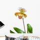 Beautiful Unique Orchid Wall Decal