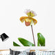 Beautiful Unique Orchid Wall Decal