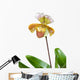 Beautiful Unique Orchid Wall Decal