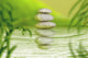 Zen Stones Spa Bamboo Balance Wall Mural