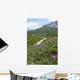 Les Centaurees Domine La Wall Mural