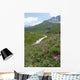 Les Centaurees Domine La Wall Mural