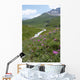 Les Centaurees Domine La Wall Mural